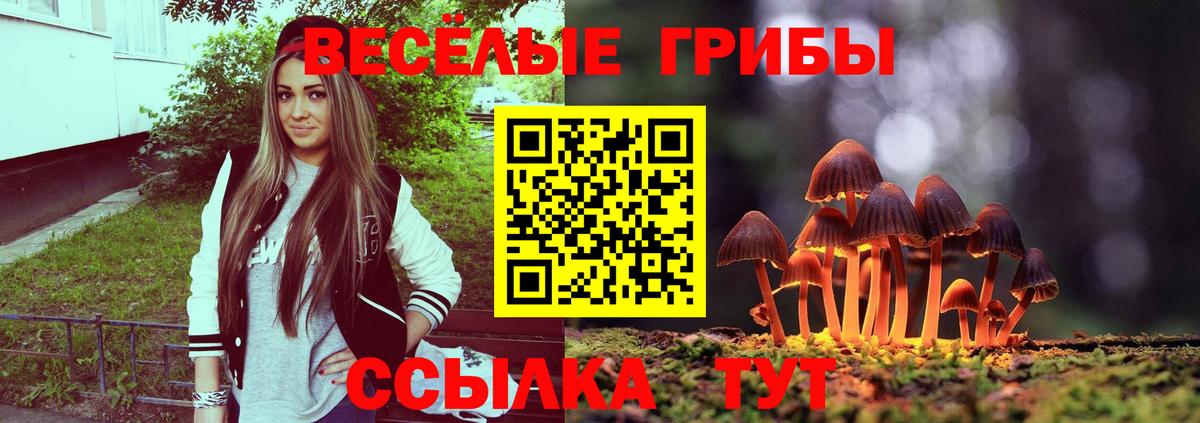 закладка  Псилоцибиновые грибы GOLDEN TEACHER  Вход с VPN  Галлюциногенные грибы Magic Shrooms  Великий Новгород 